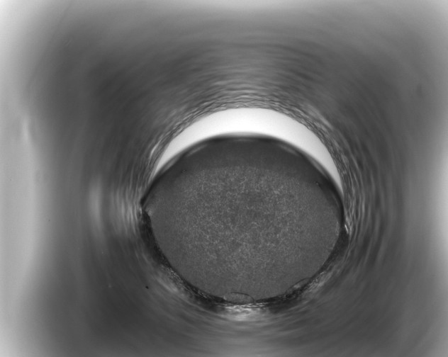 X0000085310516200703161454