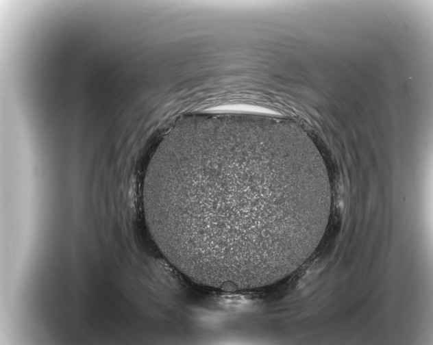 X0000085310519200703161454