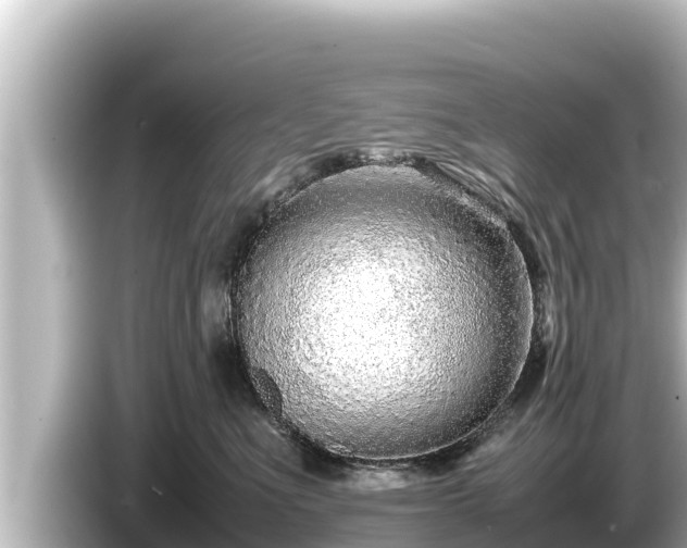 X0000085310523200703161454