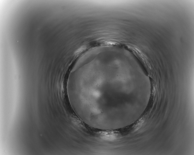 X0000085310524200703161454