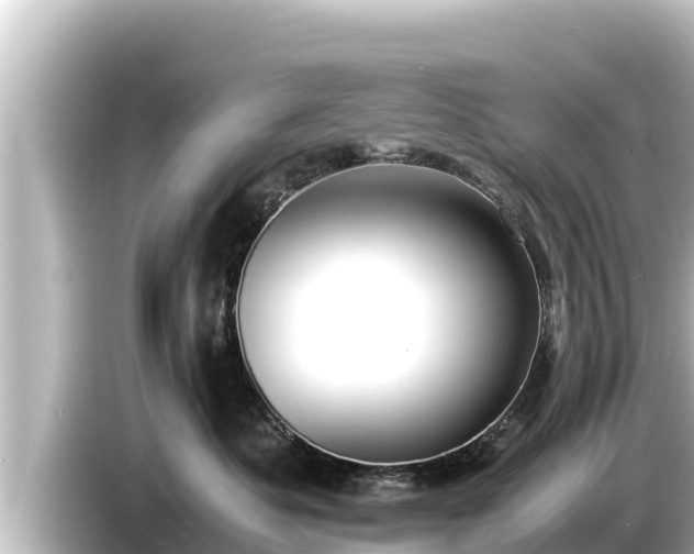 X0000085310525200703161454