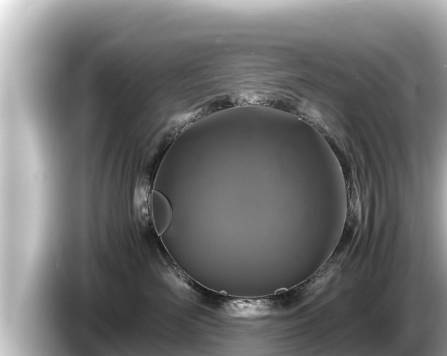 X0000085310526200703161454