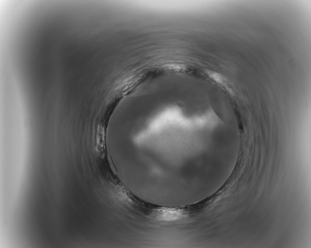X0000085310528200703161454