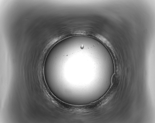 X0000085310529200703161453