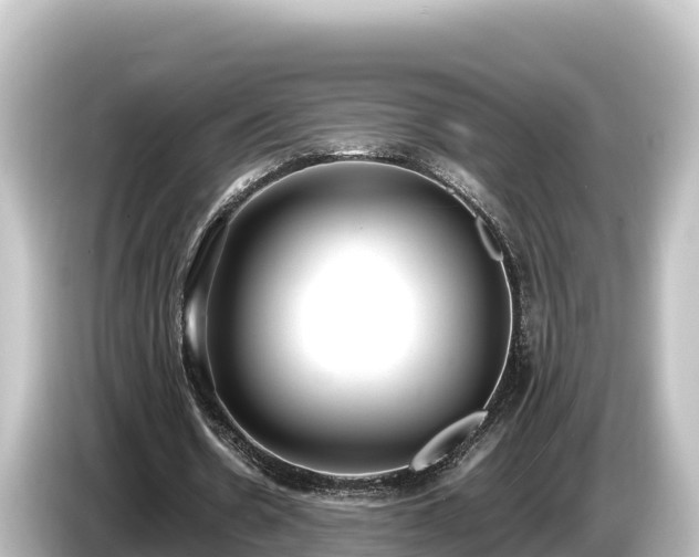 X0000085310530200703161453