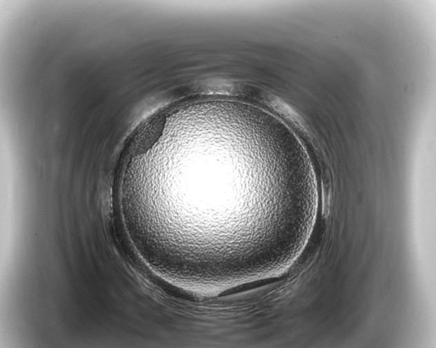 X0000085310531200703161453