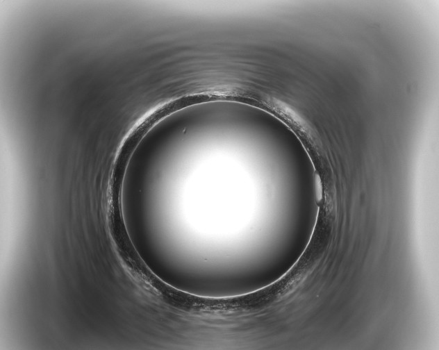 X0000085310532200703161453