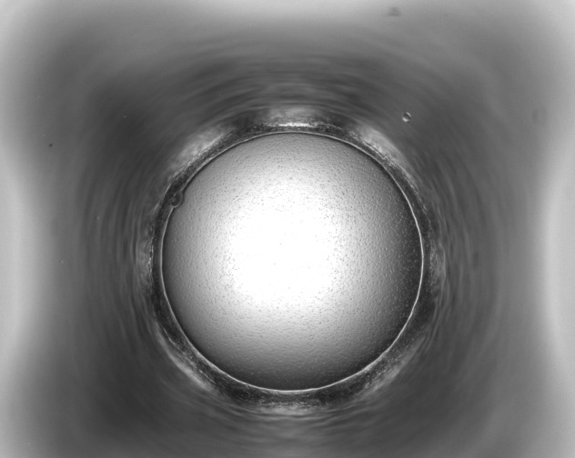 X0000085310533200703161453
