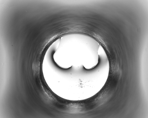 X0000085310534200703161453
