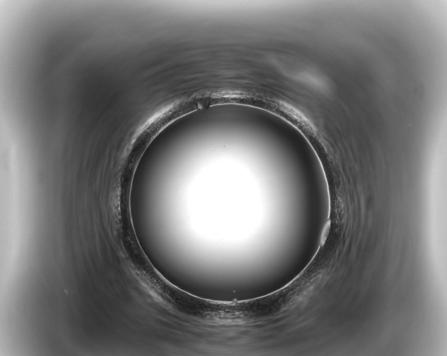 X0000085310535200703161453