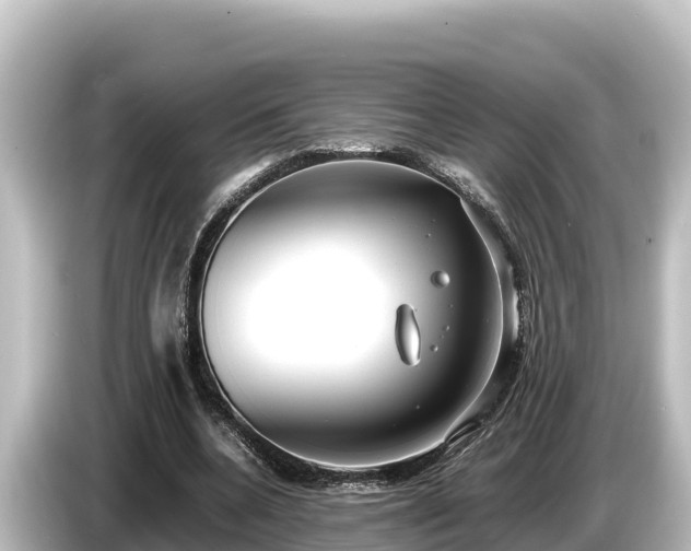 X0000085310536200703161453