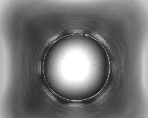 X0000085310537200703161453