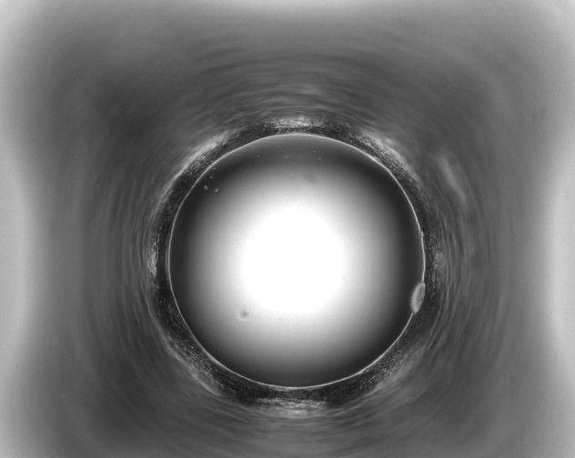 X0000085310539200703161453