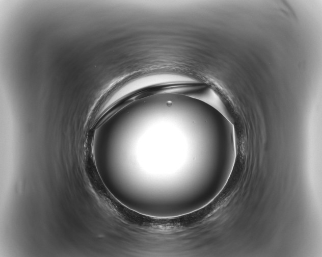 X0000085310540200703161453