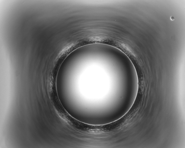 X0000085310544200703161454