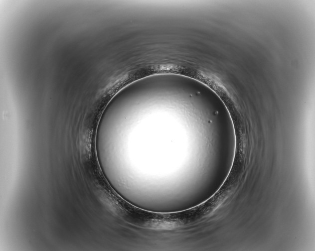 X0000085310545200703161454