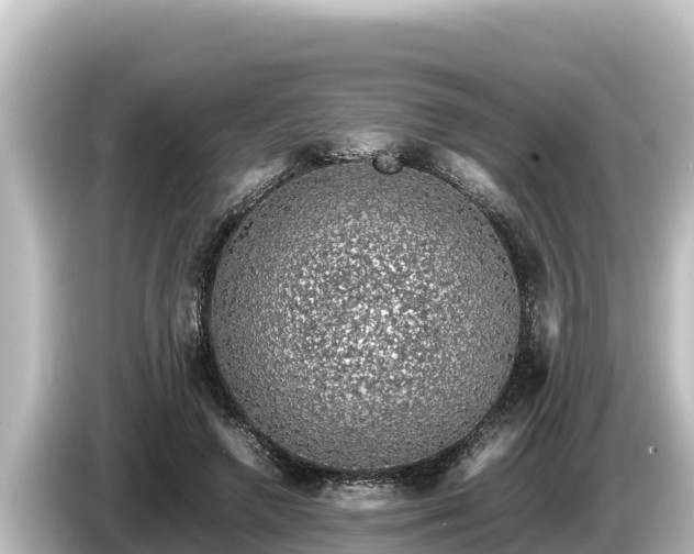 X0000085310546200703161454