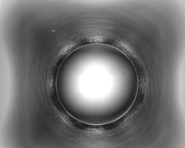 X0000085310548200703161454