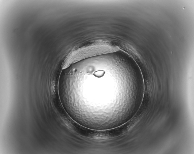 X0000085310549200703161454