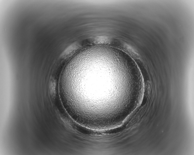 X0000085310550200703161454