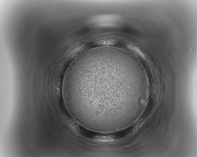 X0000085310553200703161454
