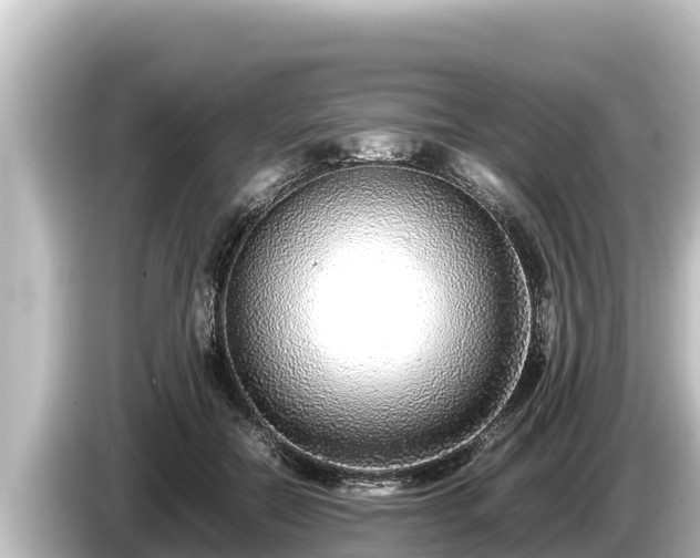 X0000085310554200703161454