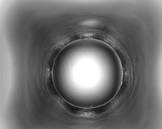 X0000085310555200703161454