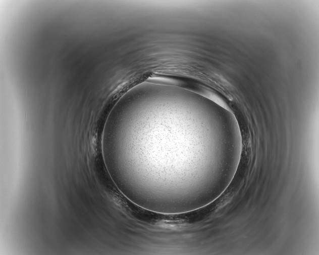 X0000085310556200703161454