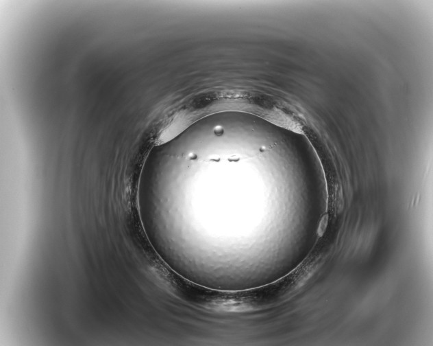 X0000085310557200703161454