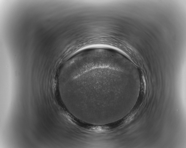 X0000085310558200703161454