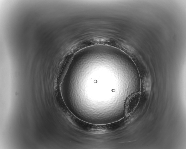 X0000085310559200703161454