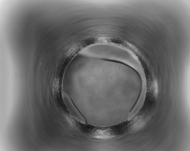 X0000085310560200703161454