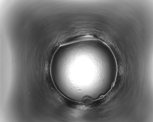 X0000085310561200703161454