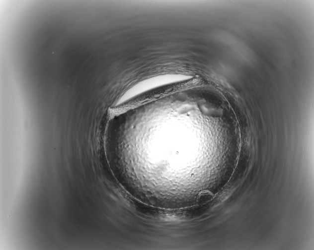 X0000085310565200703161454