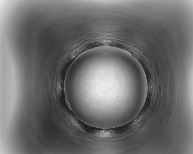X0000085310566200703161454