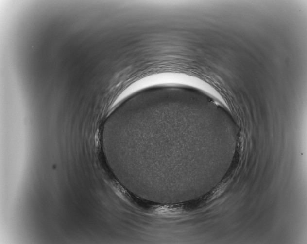 X0000085310568200703161454