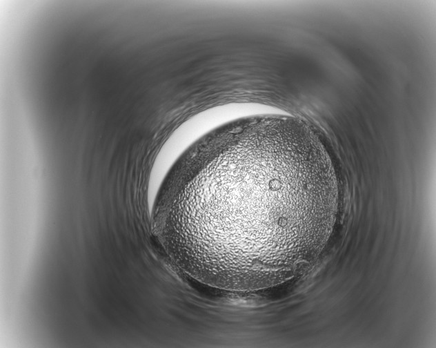 X0000085310569200703161454