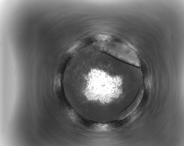 X0000085310570200703161454