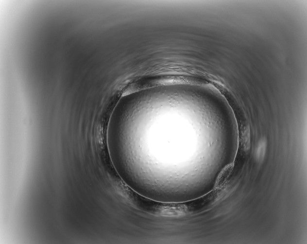 X0000085310571200703161454
