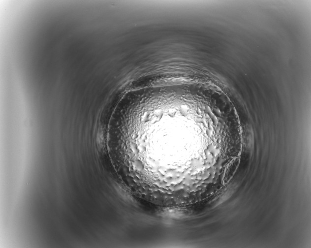 X0000085310573200703161454