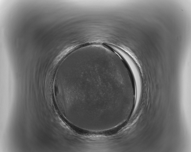 X0000085310577200703161453