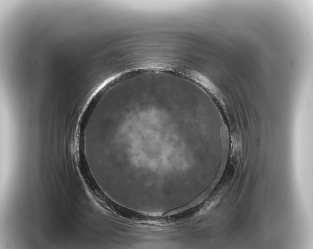 X0000085310580200703161453