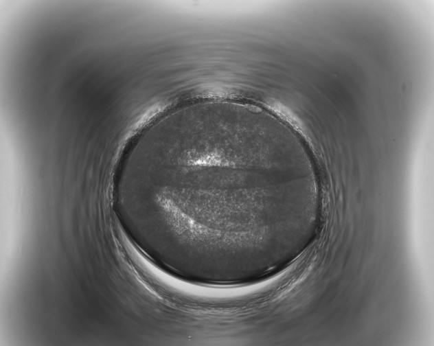 X0000085310581200703161453