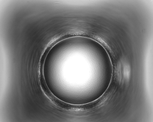 X0000085310582200703161453