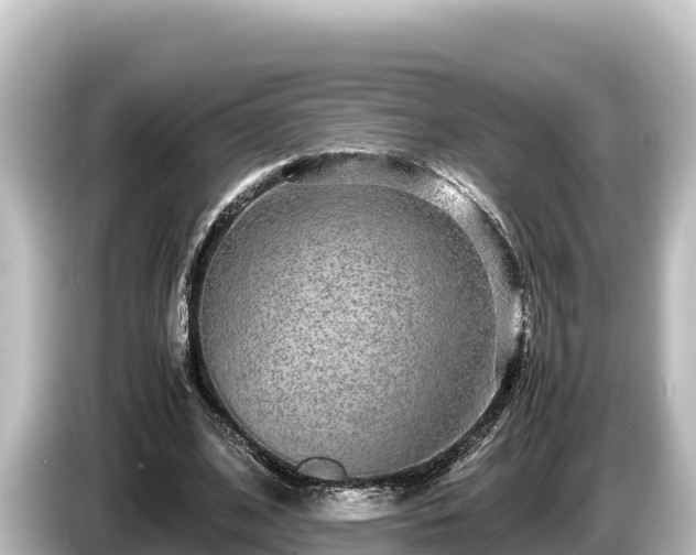 X0000085310584200703161453