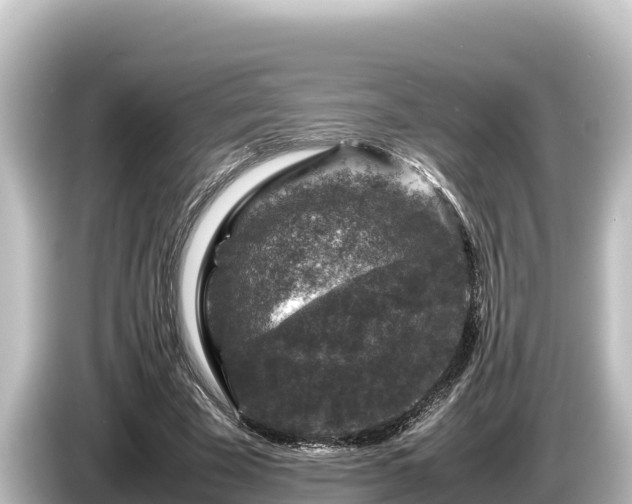 X0000085310585200703161453
