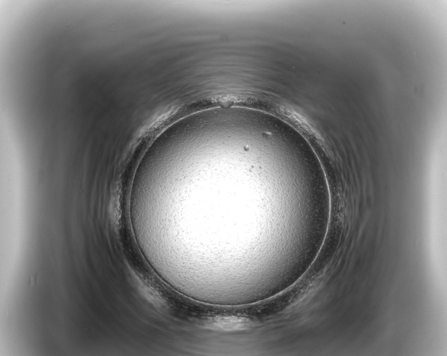X0000085310586200703161453