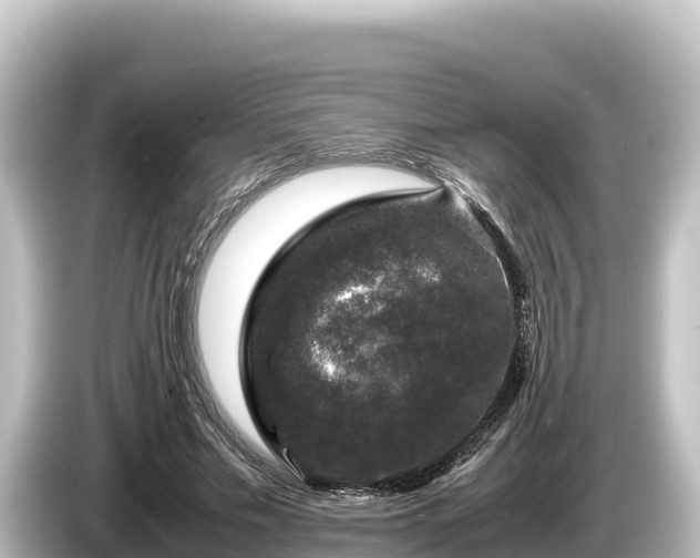 X0000085310589200703161453