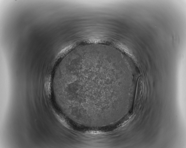 X0000085310590200703161453