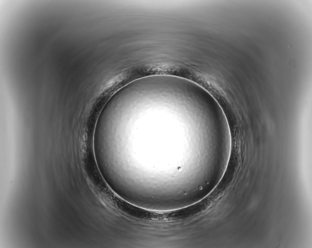X0000085310591200703161453